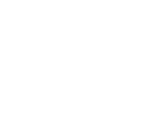 Go Plumbers Footer Logo